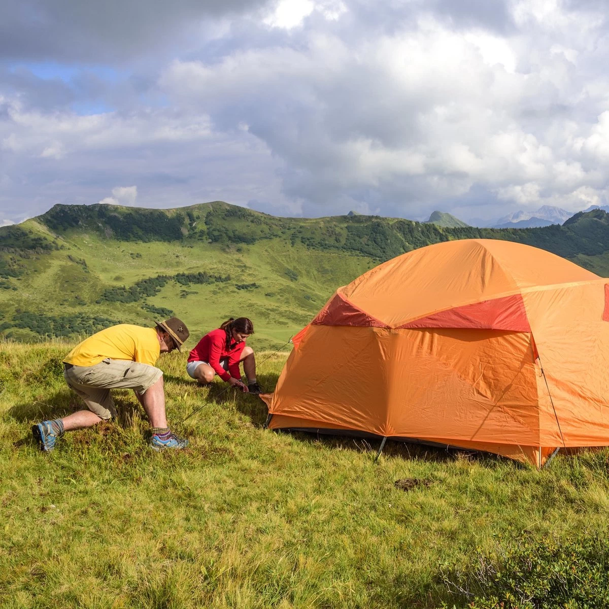 Relaxdays 100x Gronddoekpen - Grondanker - Haring - Gronddoekhaak - Grondhaken - 2mm - Afbeelding 5