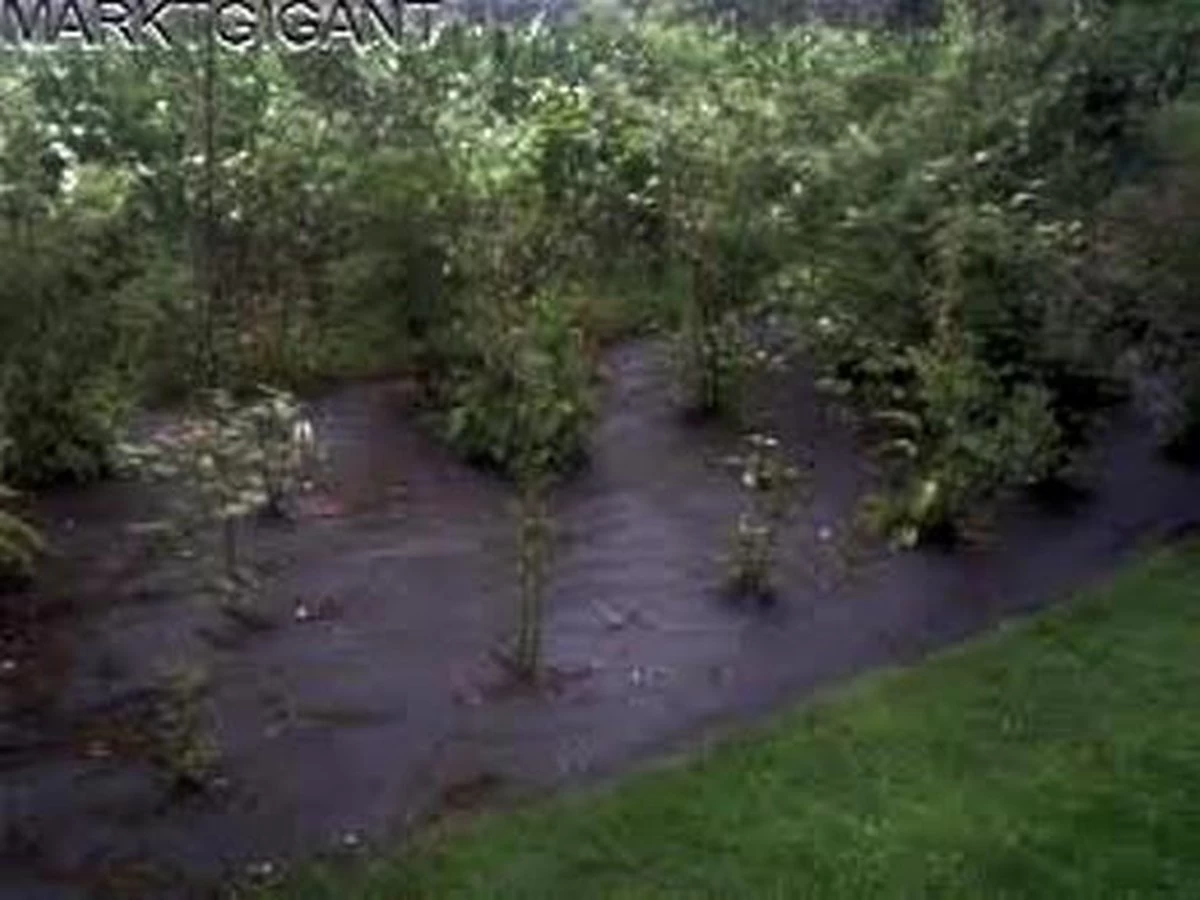 Tentzeil Bescherming , Gronddoek , Anti Worteldoek 8 X 4.80 Mtr / 130 Gr P/m² - Afbeelding 2