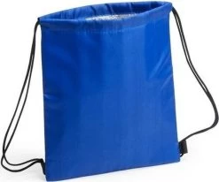 Merkloos Blauwe Koeltas Rugzak 27 X 33 Cm - Koelboxen/koeltassen